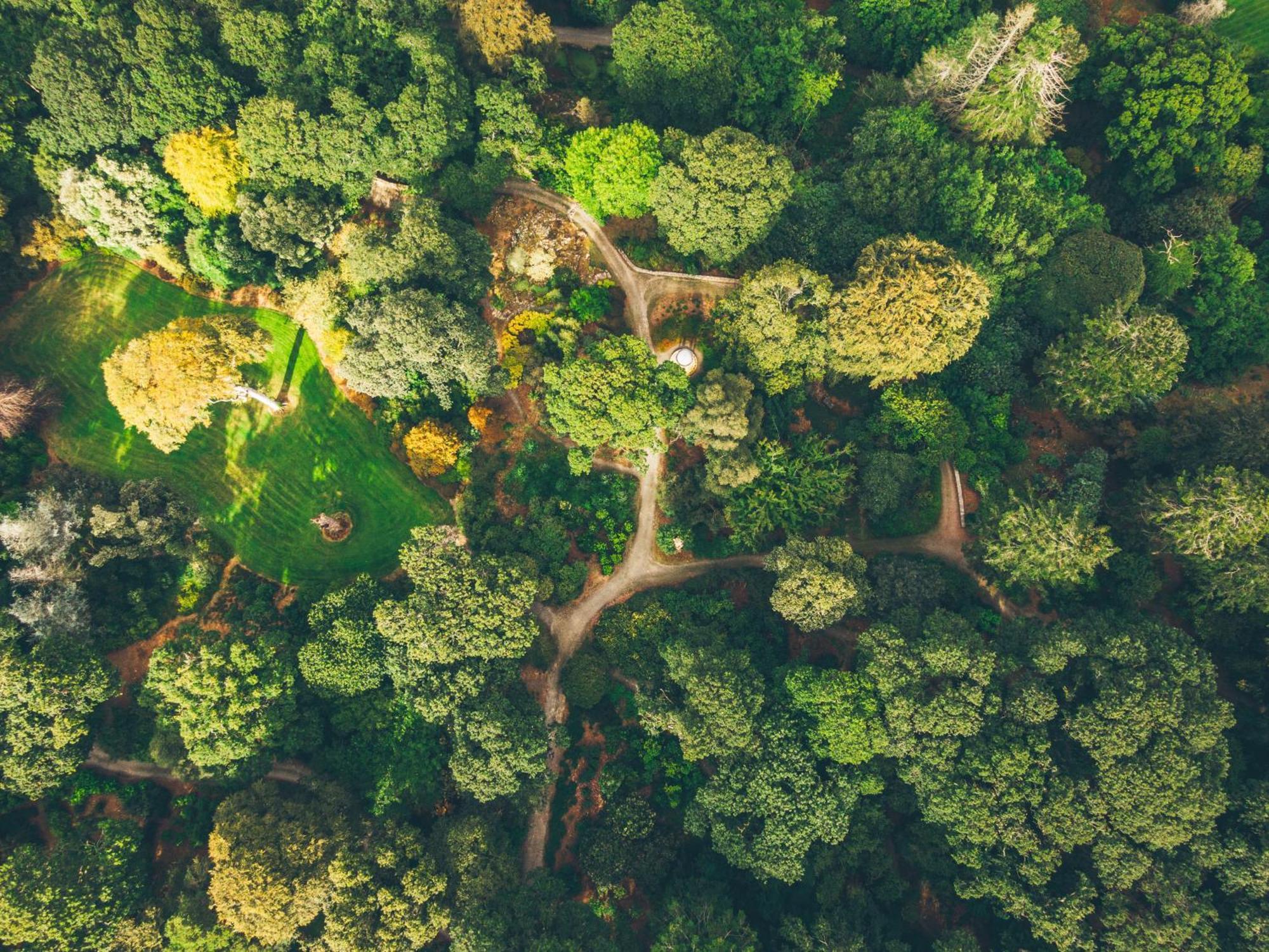 The Forest At Mount Congreve Gardens Kilmeaden Exterior foto